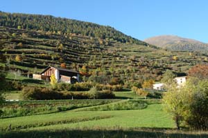 stalla crusch e terrassas